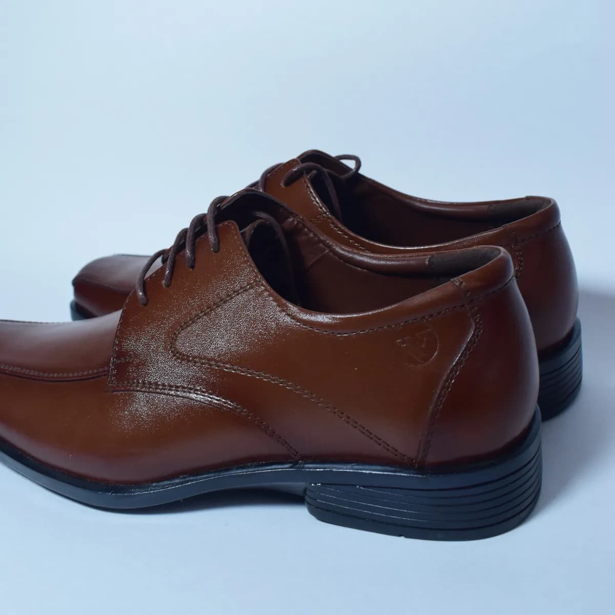 Zapato de Cuero 01