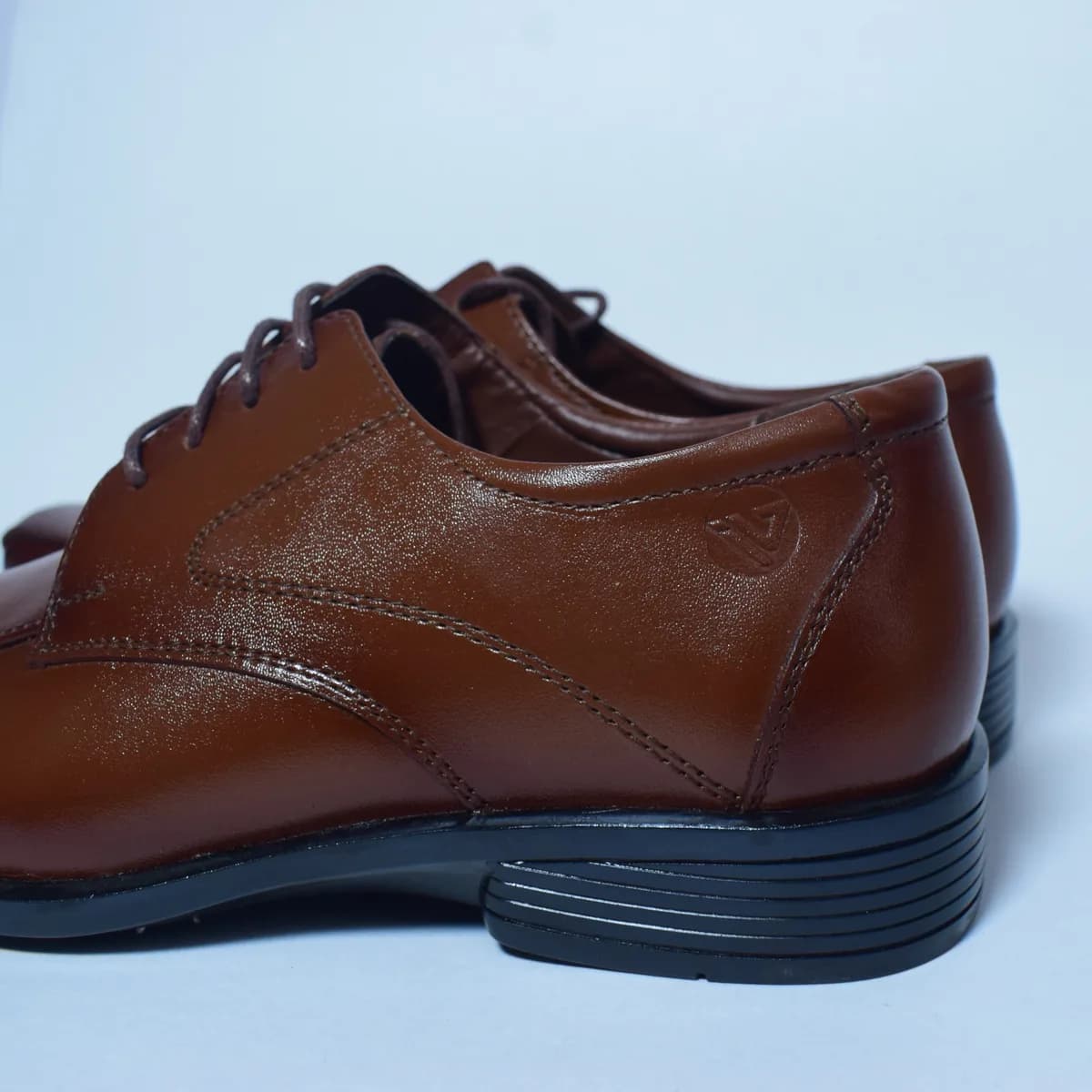Zapato de Cuero 04