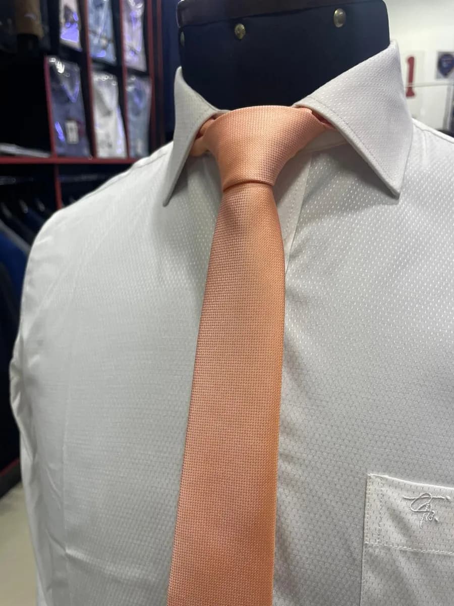 Corbata de Seda 39