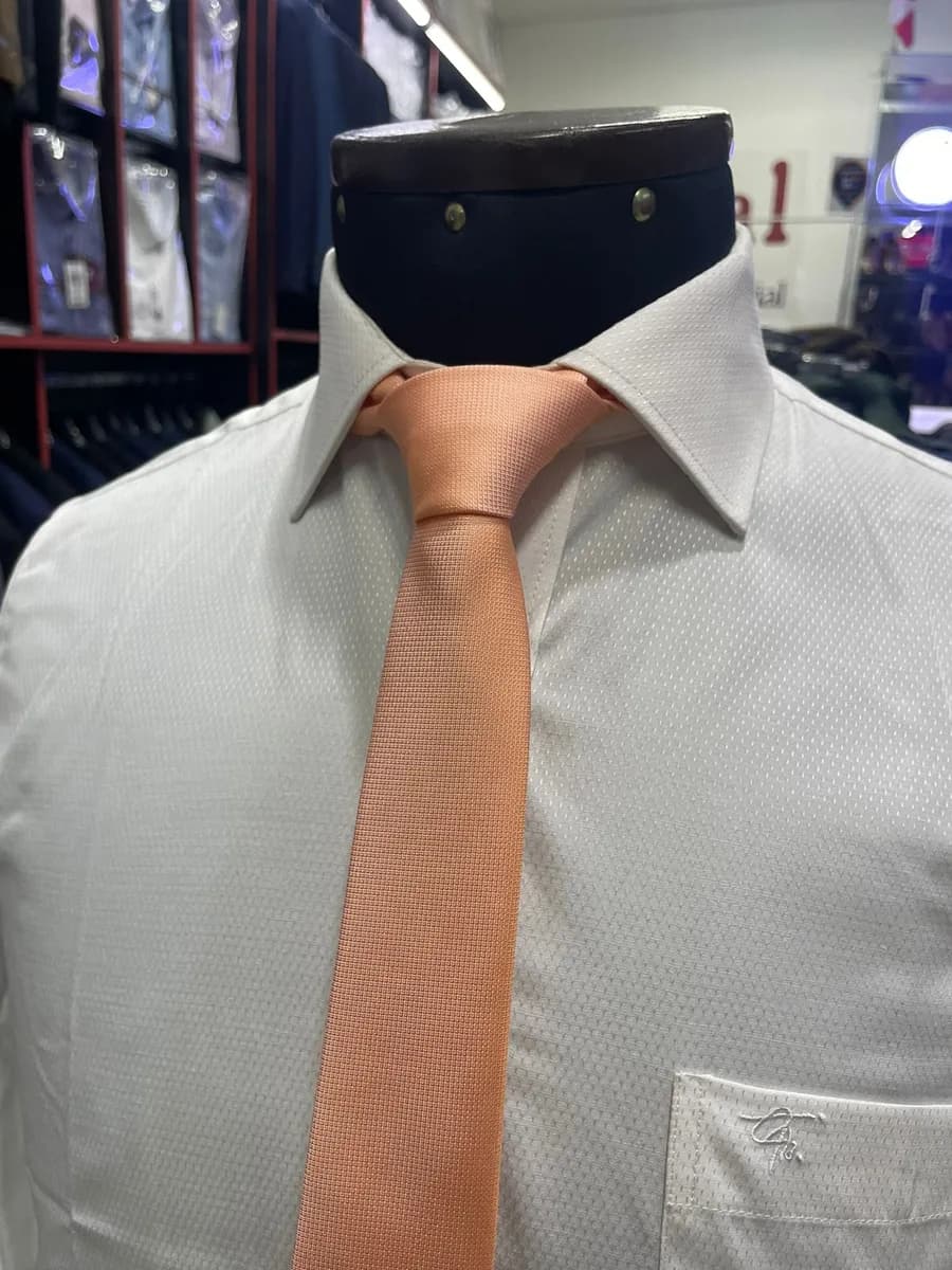 Corbata de Seda 46